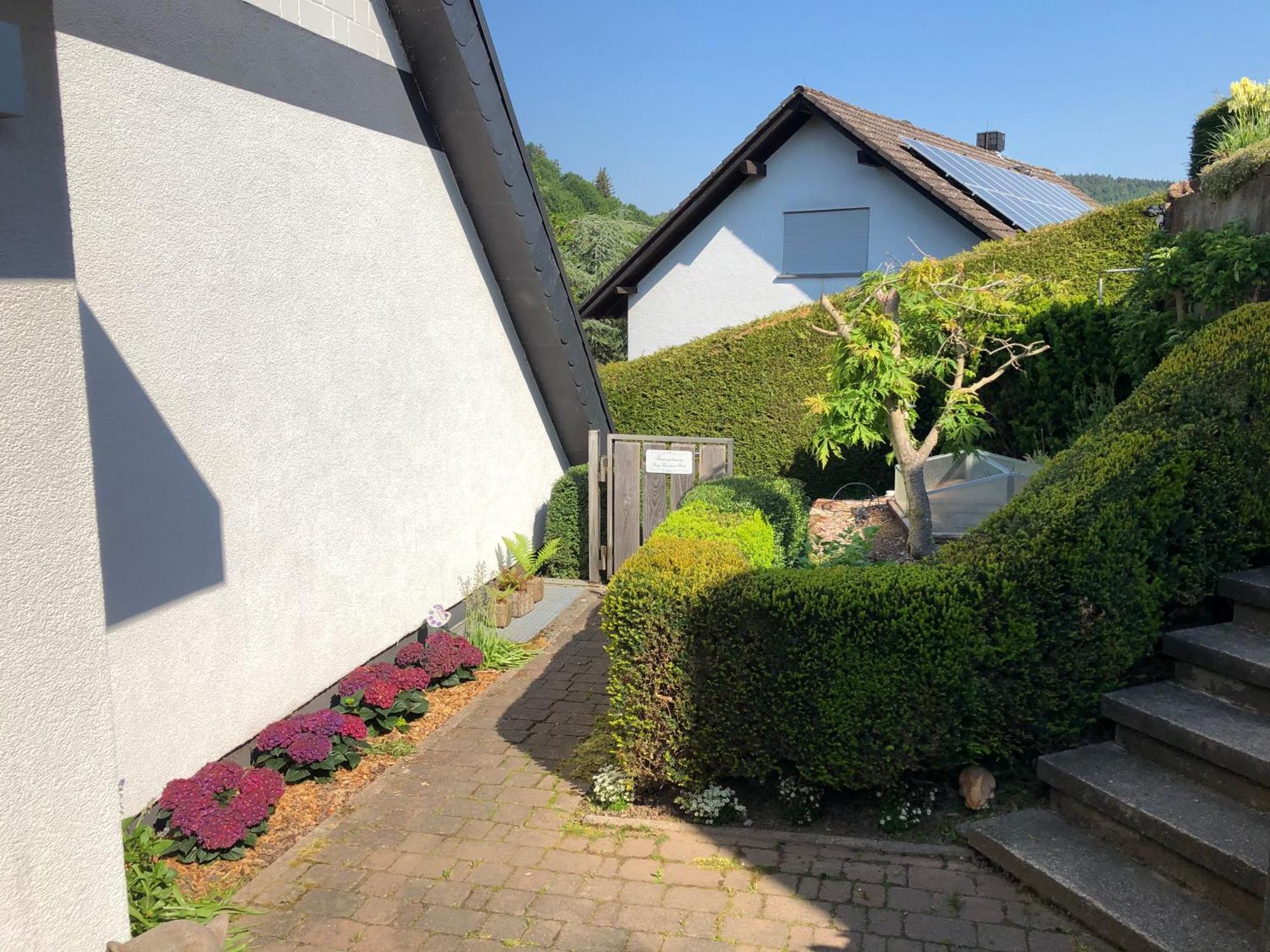 Burg Freienstein Blick 4 Sterne Mit Sauna Gammelsbach Kültér fotó